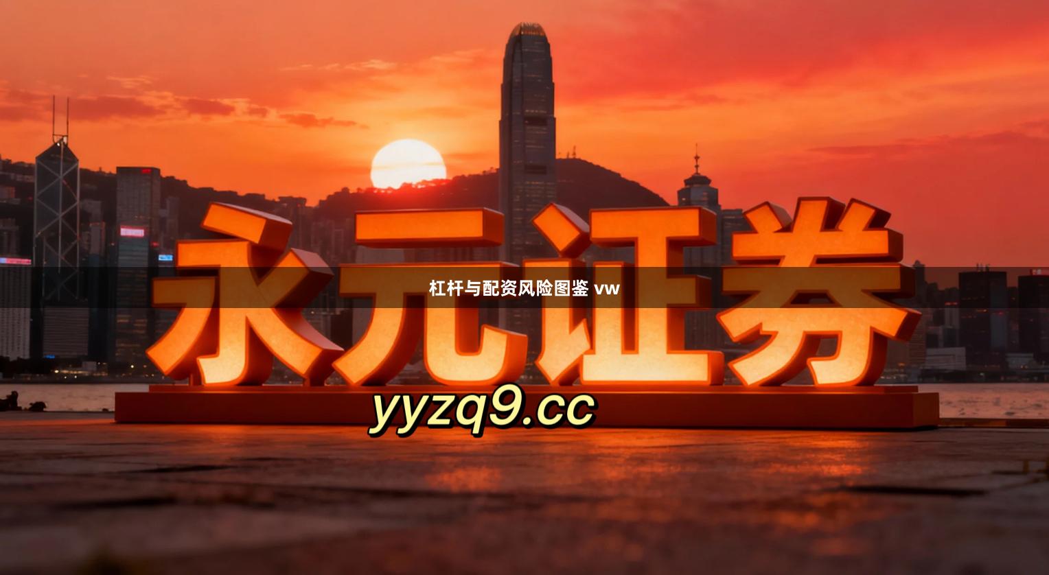 杠杆与配资风险图鉴 vw